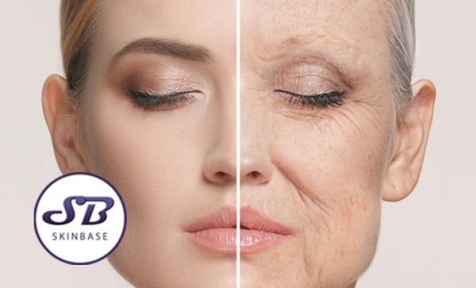 parts of your skin
