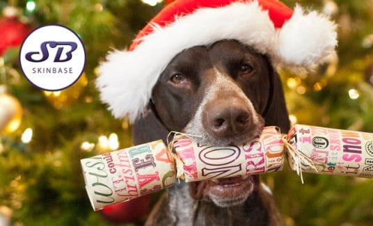 christmas crackers
