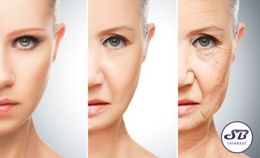 How Does Skin Age